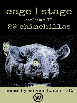 cover image of 29 Chinchillas